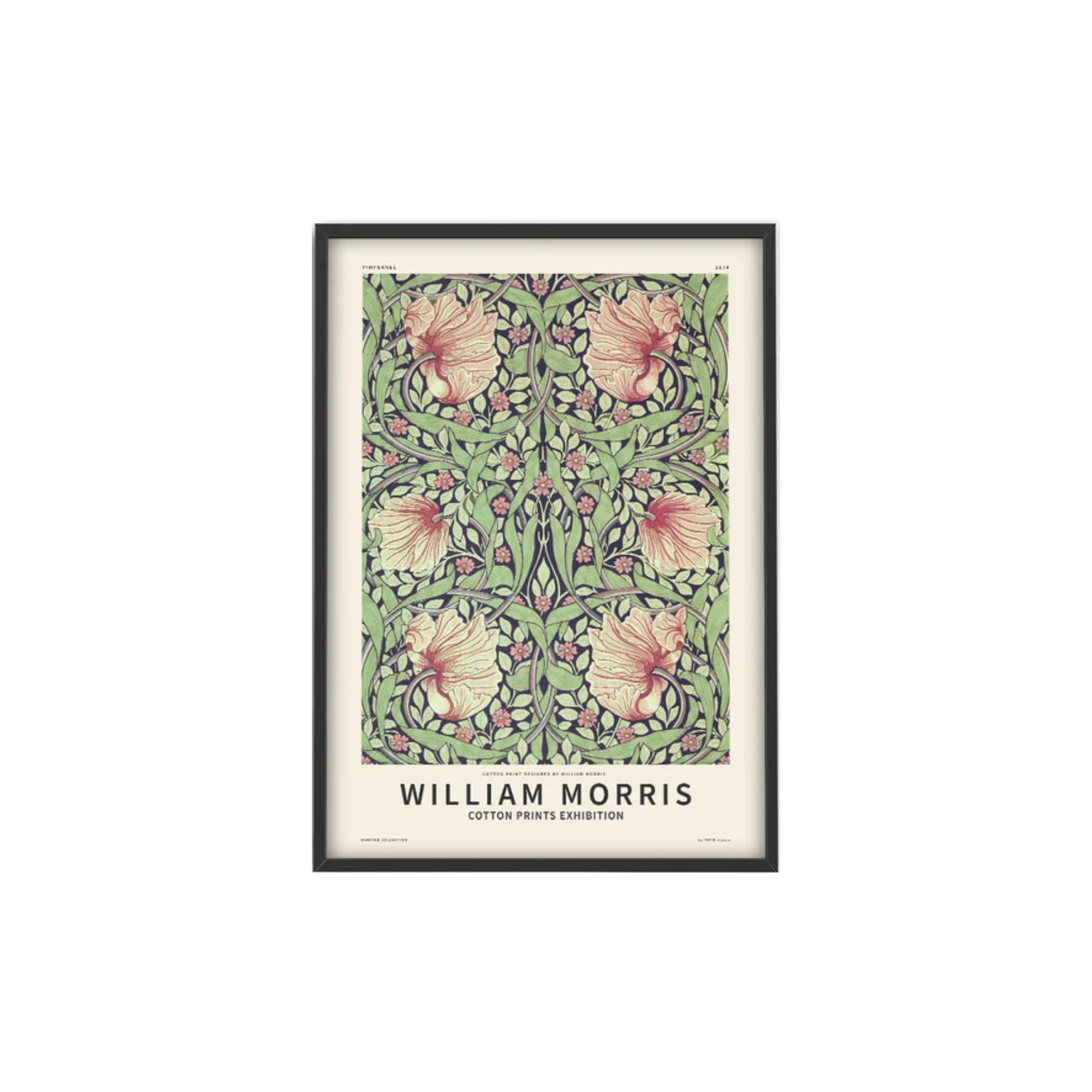 Affiche PSTR Studio - William Morris, Pimpernel