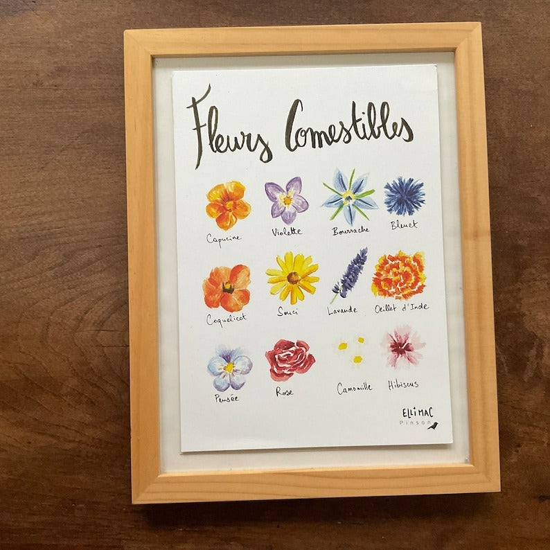 Ellimac Pinson , Grande carte A5 "Fleurs Comestibles" 