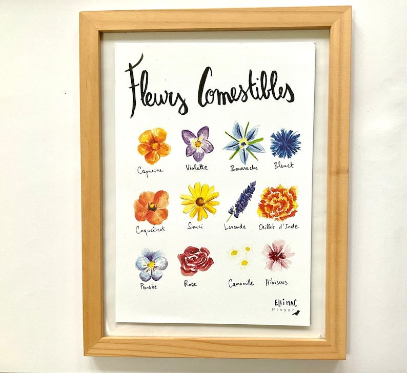 Ellimac Pinson , Grande carte A5 "Fleurs Comestibles" 