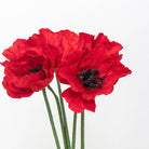 Flowrette, Coquelicot en papier - Rouge