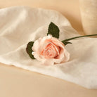 Flowrette, Petite Rose Lady en papier - Champagne