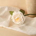 Flowrette, Rose anglaise en papier - Blanche