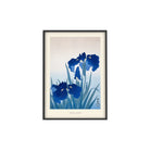 PSTR Studio, Affiche -  Ohara Koson, Blue Irises