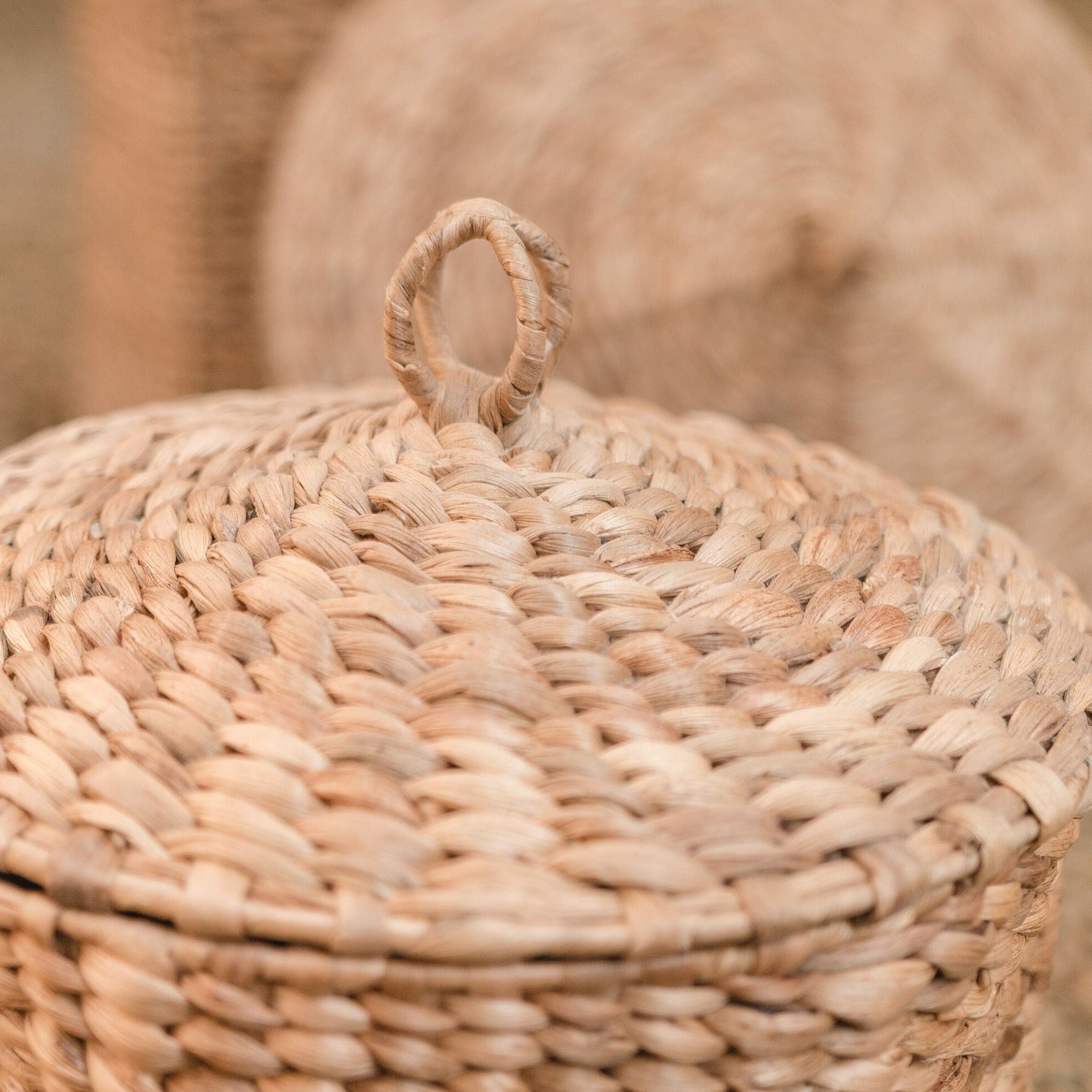 Petit panier avec couvercle en jacinthe d'eau - Nad Yut