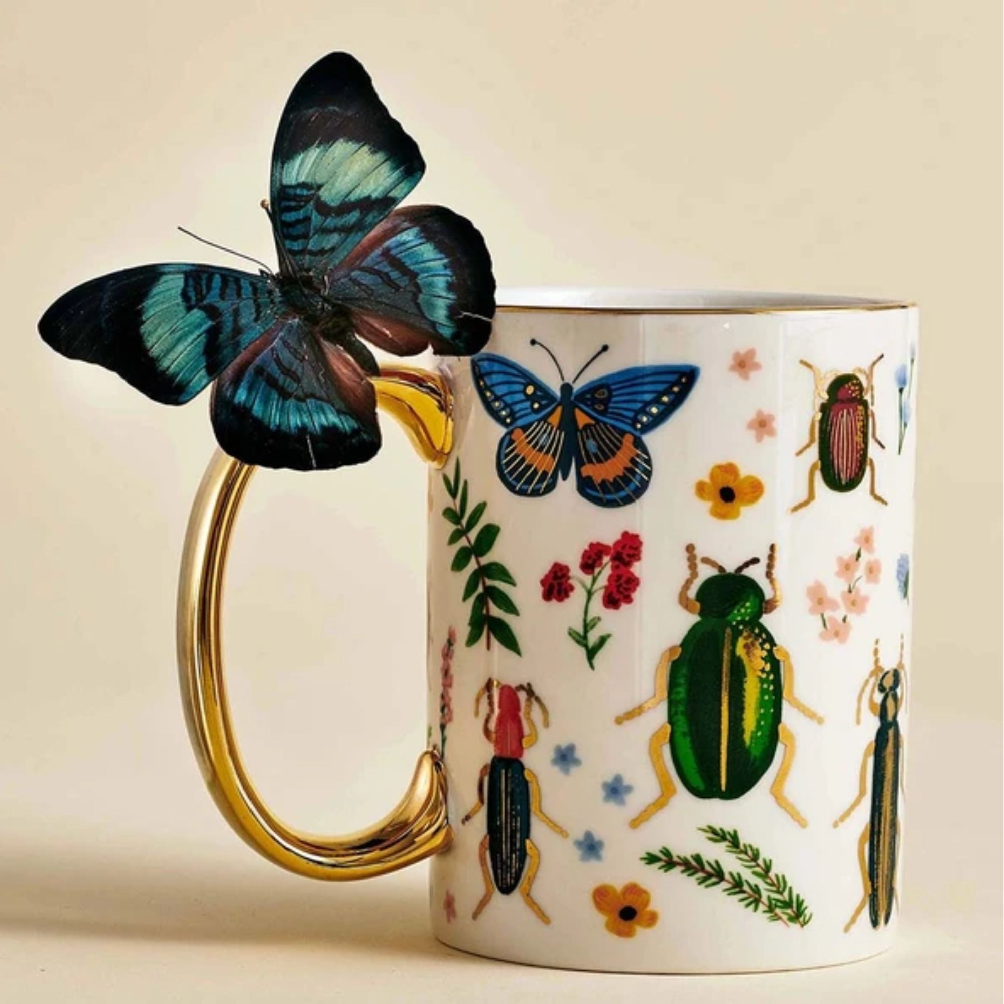 Rifle Paper Co, Mug - Curio